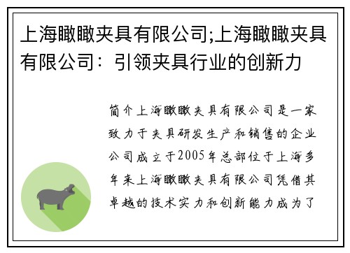 上海瞰瞰夹具有限公司;上海瞰瞰夹具有限公司：引领夹具行业的创新力